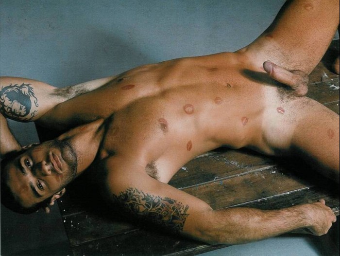 Leon Fala - MaxeGatos - Foto 20