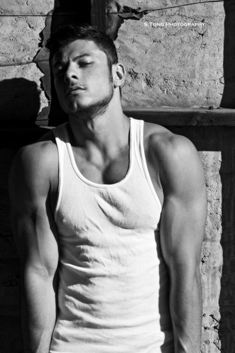 Daniel Garofali - MaxeGatos - Foto 32