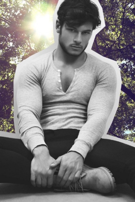 Daniel Garofali - MaxeGatos - Foto 5