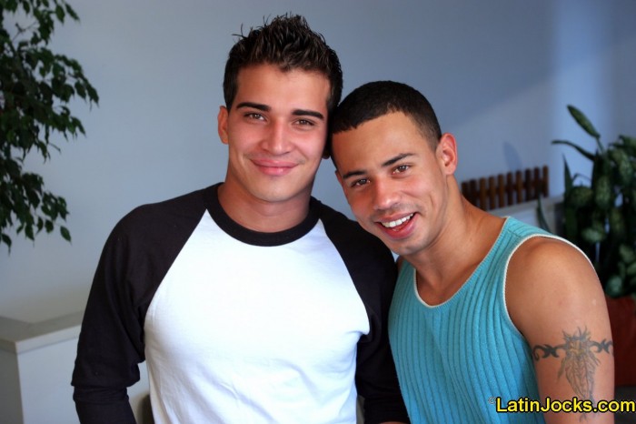 Diego & Ami - MaxeGatos - Foto 2