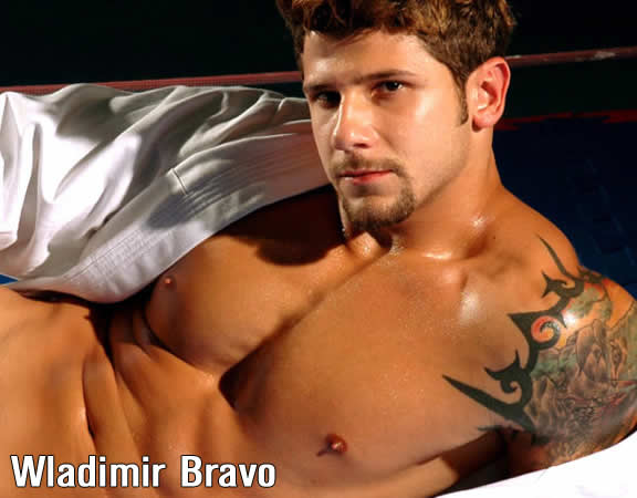 Wladimir Bravo - MaxeGatos - Foto 1
