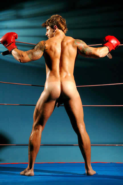 Wladimir Bravo - MaxeGatos - Foto 26