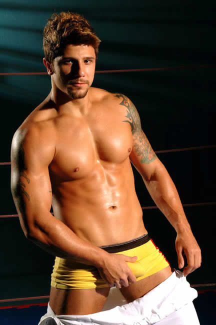 Wladimir Bravo - MaxeGatos - Foto 4