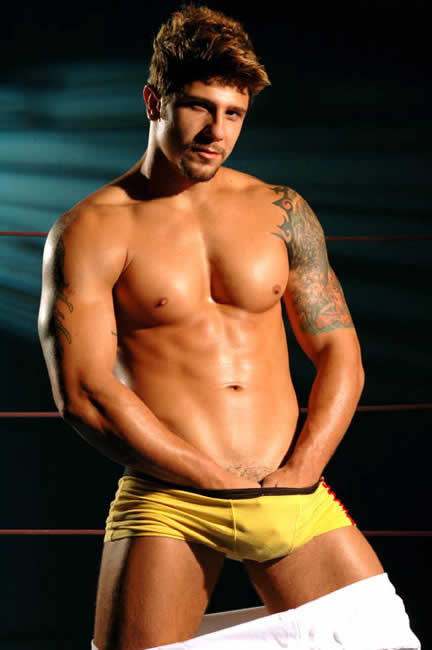 Wladimir Bravo - MaxeGatos - Foto 5