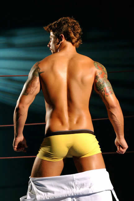 Wladimir Bravo - MaxeGatos - Foto 6