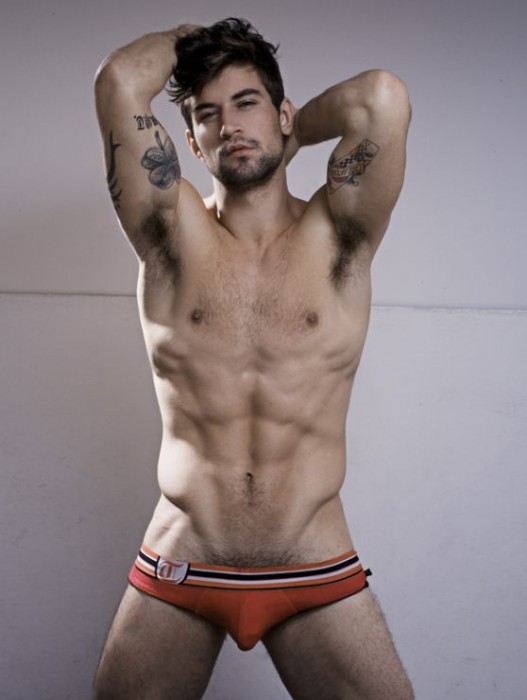 Benjamin Godfre - MaxeGatos - Foto 47