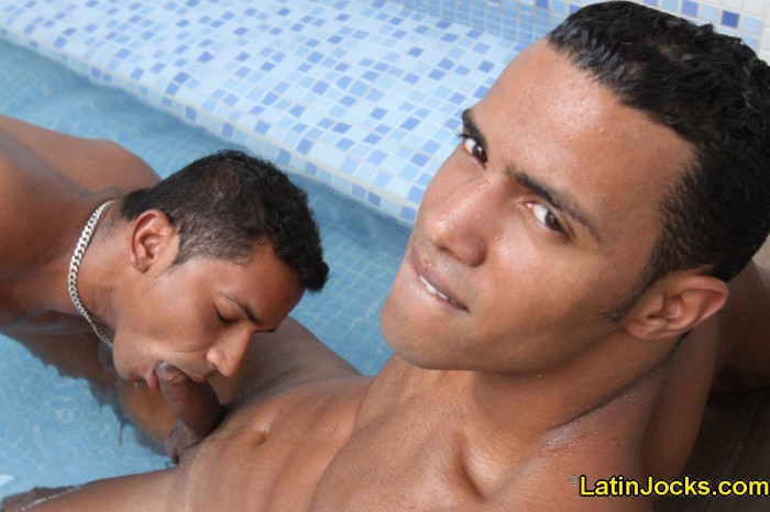 Marcelo & Jako - MaxeGatos - Foto 15