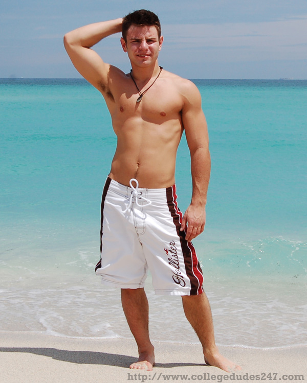 Nick Sterling - MaxeGatos - Foto 1