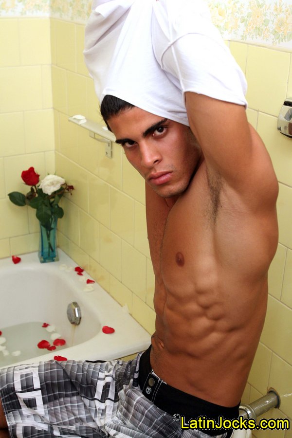 Nicky - MaxeGatos - Foto 10