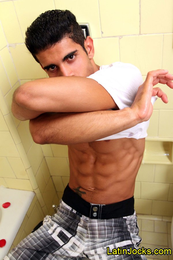 Nicky - MaxeGatos - Foto 9