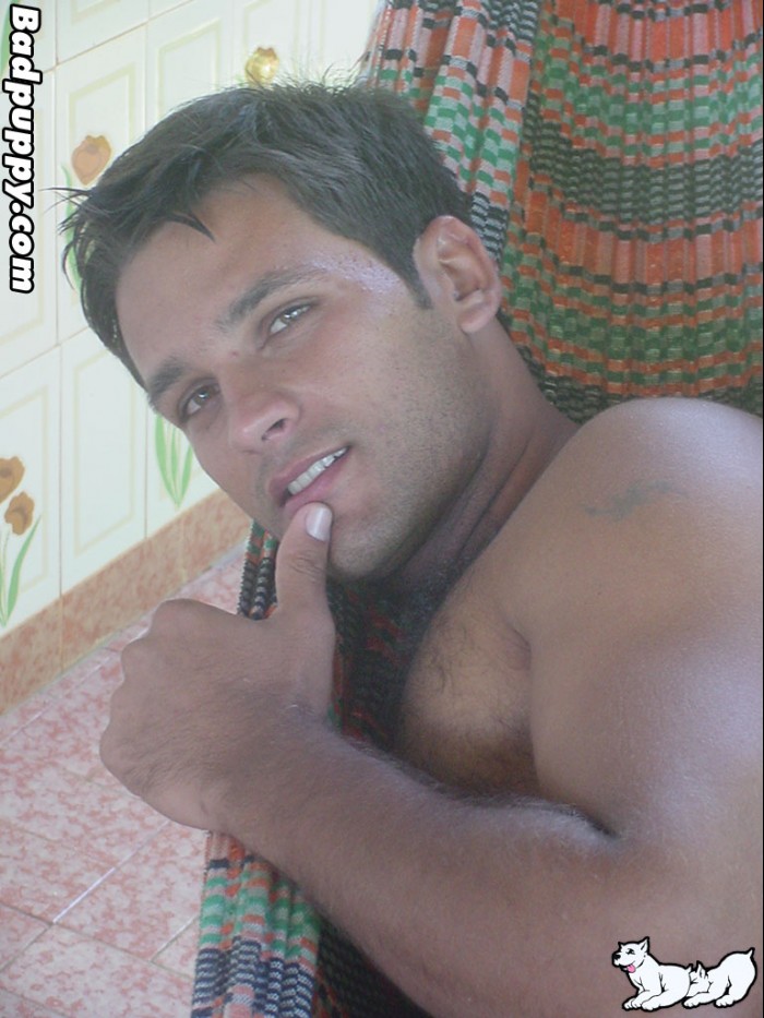 Vinnie - MaxeGatos - Foto 13