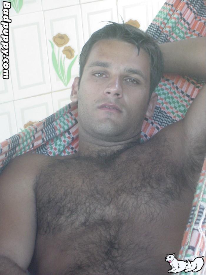 Vinnie - MaxeGatos - Foto 4