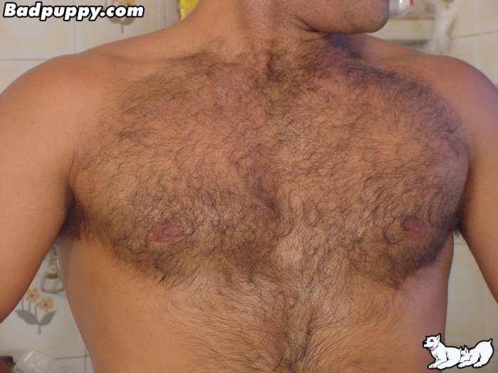 Vinnie - MaxeGatos - Foto 52