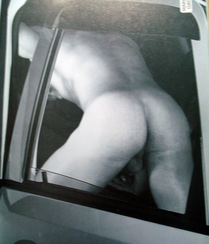 Gustavo Moraes - MaxeGatos - Foto 37