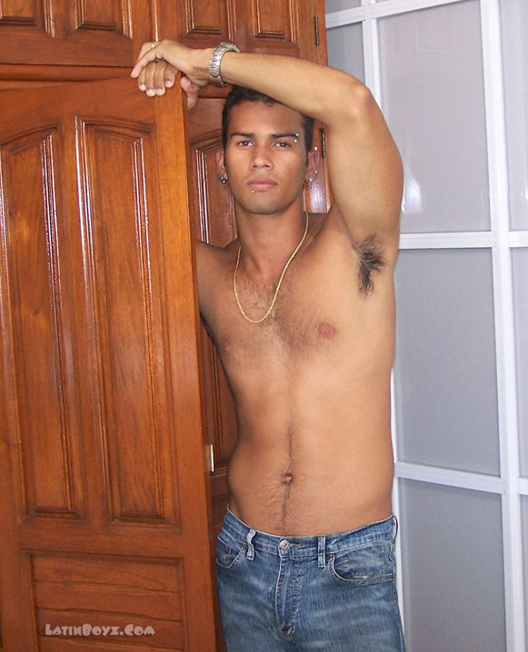 Pedro - MaxeGatos - Foto 7