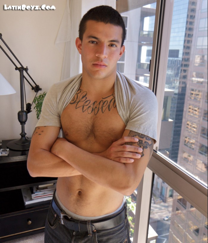 Derek - MaxeGatos - Foto 4