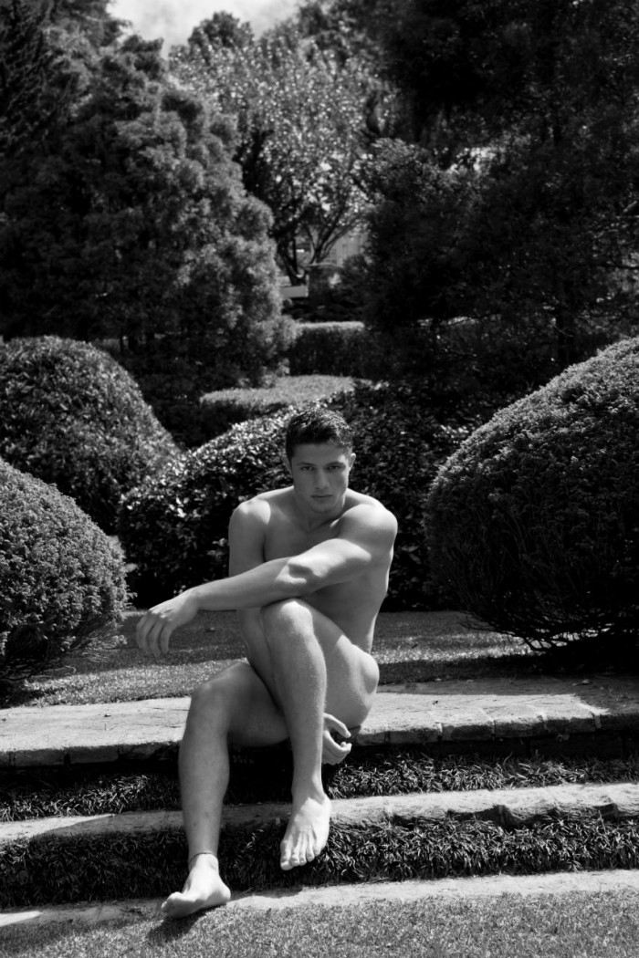 Lucas Rodrigues - MaxeGatos - Foto 12