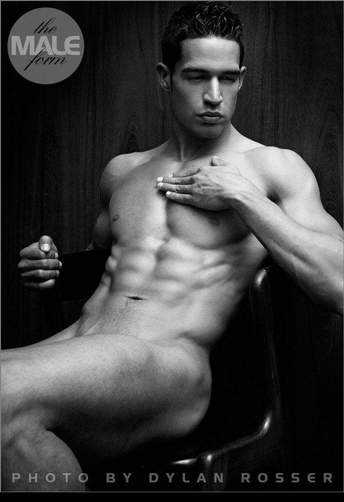 Louis - MaxeGatos - Foto 3