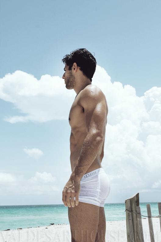Pablo Hernandez - MaxeGatos - Foto 37