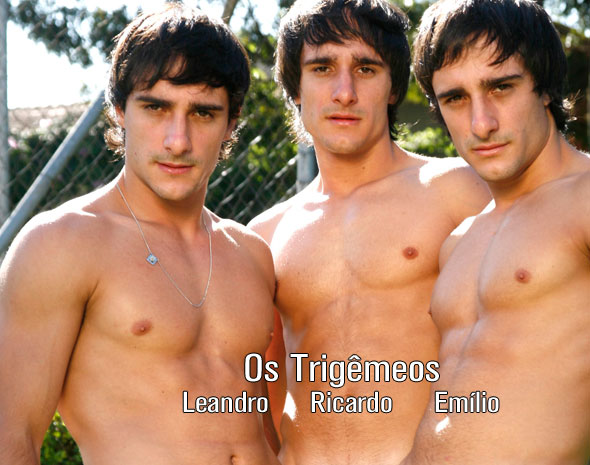 Trigêmeos - MaxeGatos - Foto 2