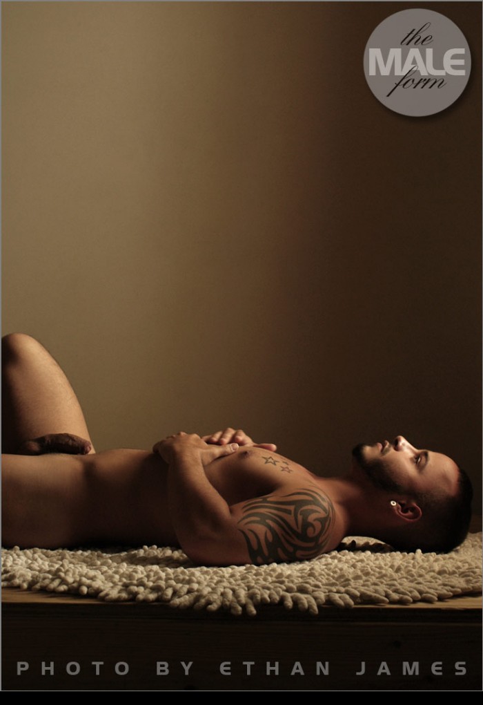 Rafael - MaxeGatos - Foto 7