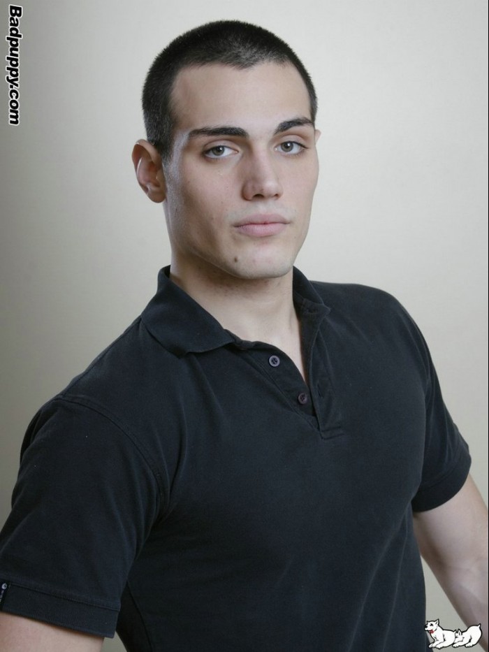 Max - MaxeGatos - Foto 5