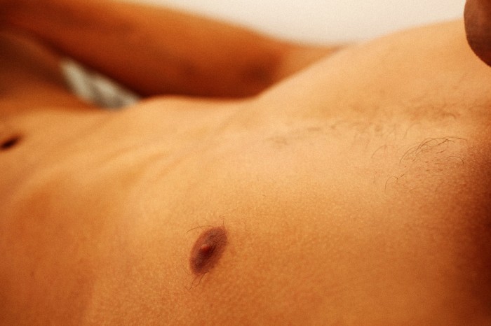 Andre Boleyn - MaxeGatos - Foto 27