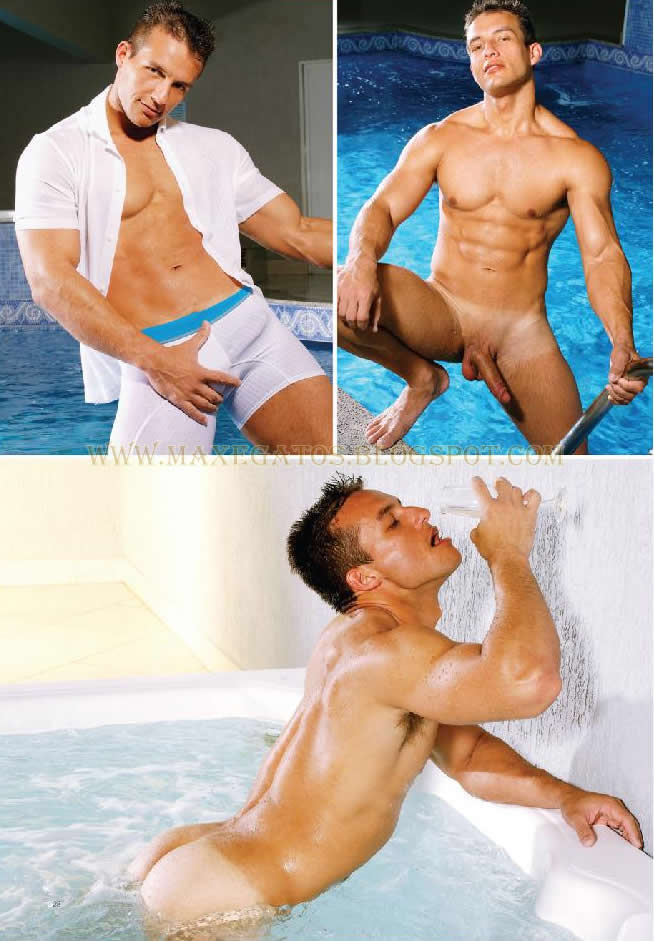 Richardson Ferreira - MaxeGatos - Foto 34