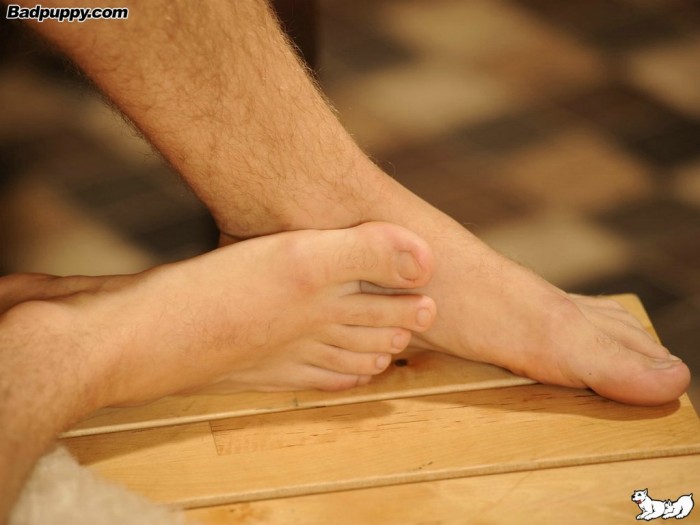Lukas Pribyl - MaxeGatos - Foto 42