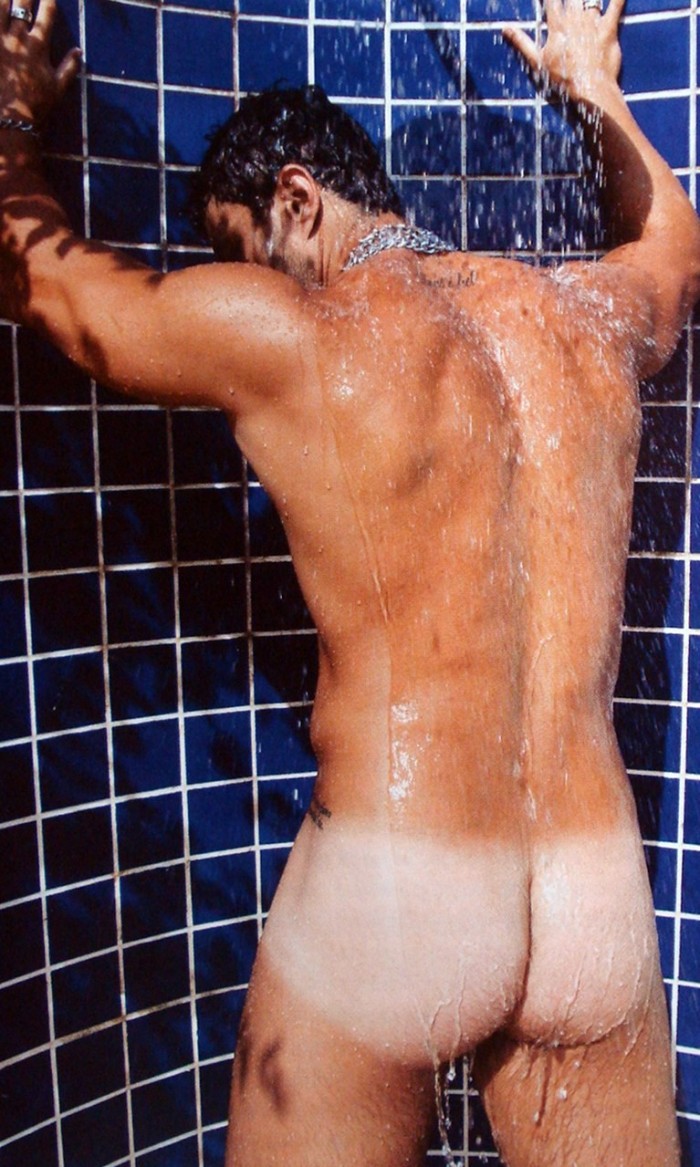 Kleber Bambam - MaxeGatos - Foto 21