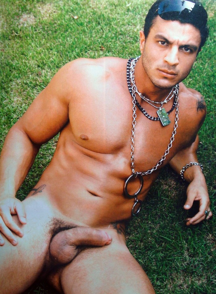 Kleber Bambam - MaxeGatos - Foto 23