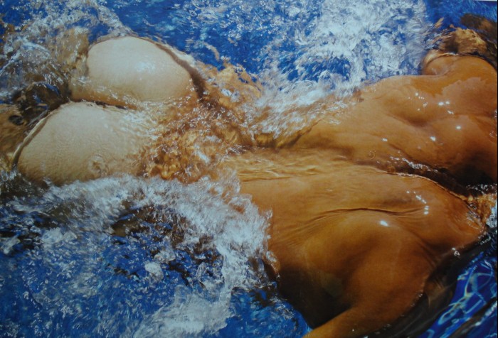 Kleber Bambam - MaxeGatos - Foto 25