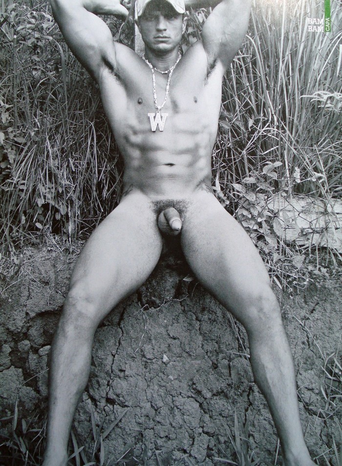 Kleber Bambam - MaxeGatos - Foto 30