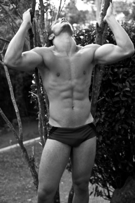 Lukas Rodrigues - MaxeGatos - Foto 6