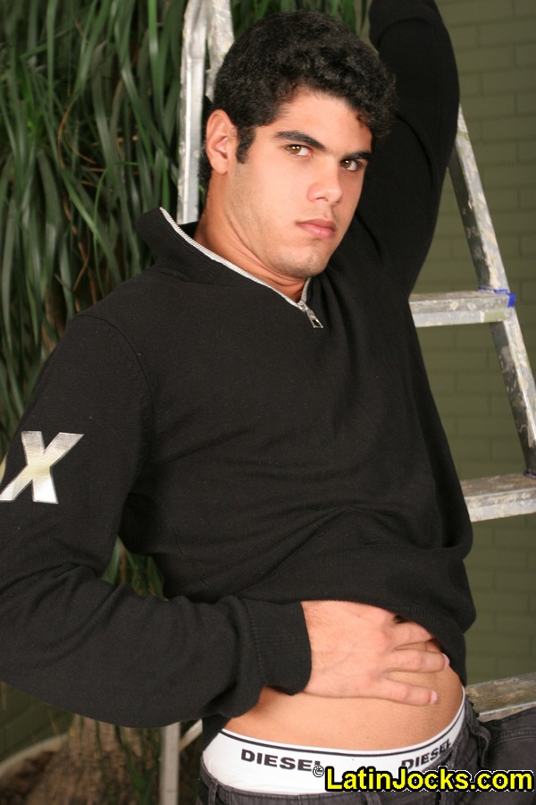 Guilherme - MaxeGatos - Foto 11