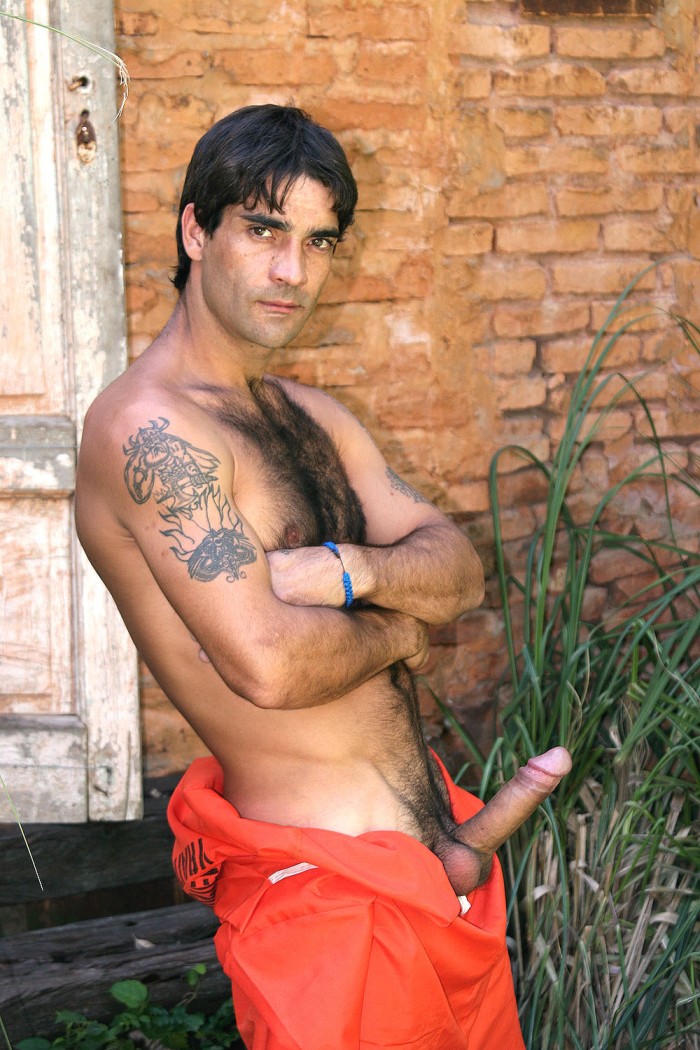 Miguel Torres - MaxeGatos - Foto 26