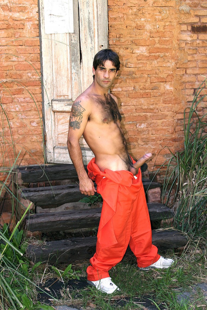 Miguel Torres - MaxeGatos - Foto 30