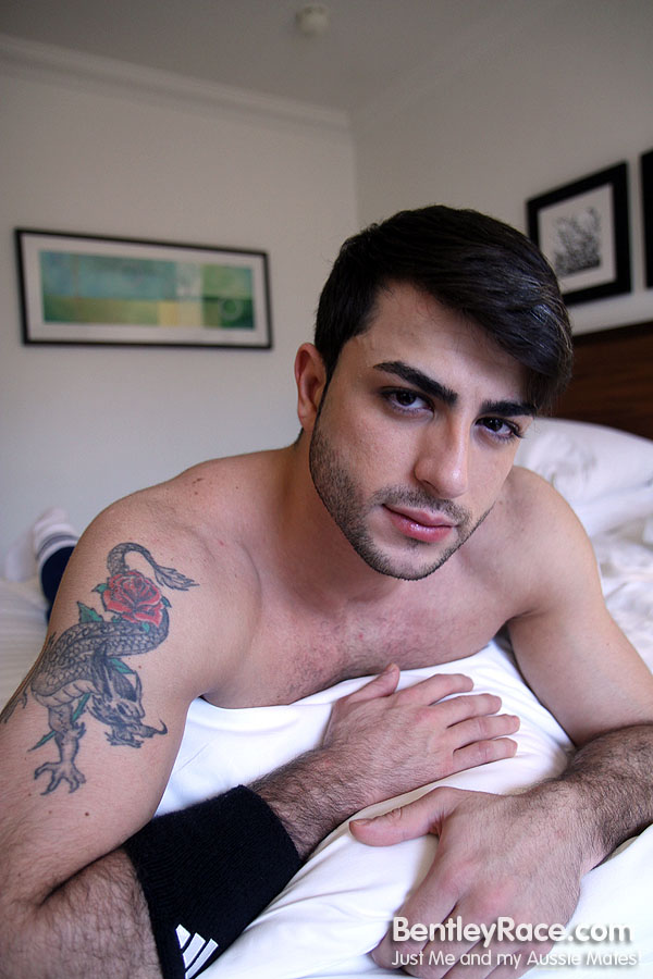 Harry Louis - MaxeGatos - Foto 11