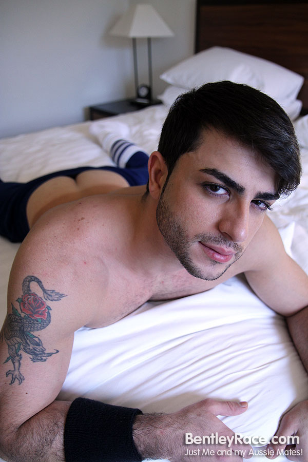 Harry Louis - MaxeGatos - Foto 12