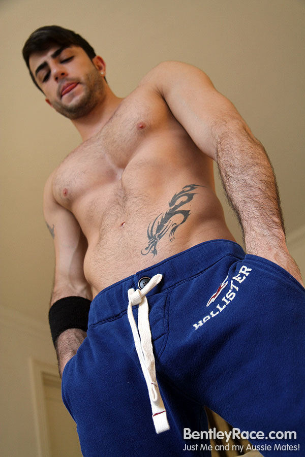 Harry Louis - MaxeGatos - Foto 17