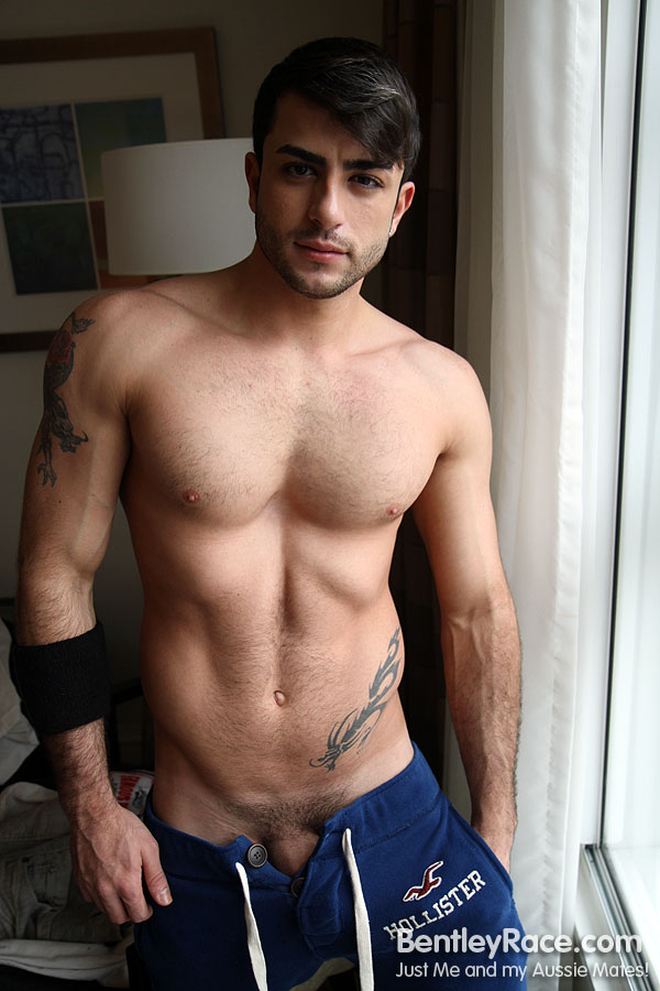 Harry Louis - MaxeGatos - Foto 34