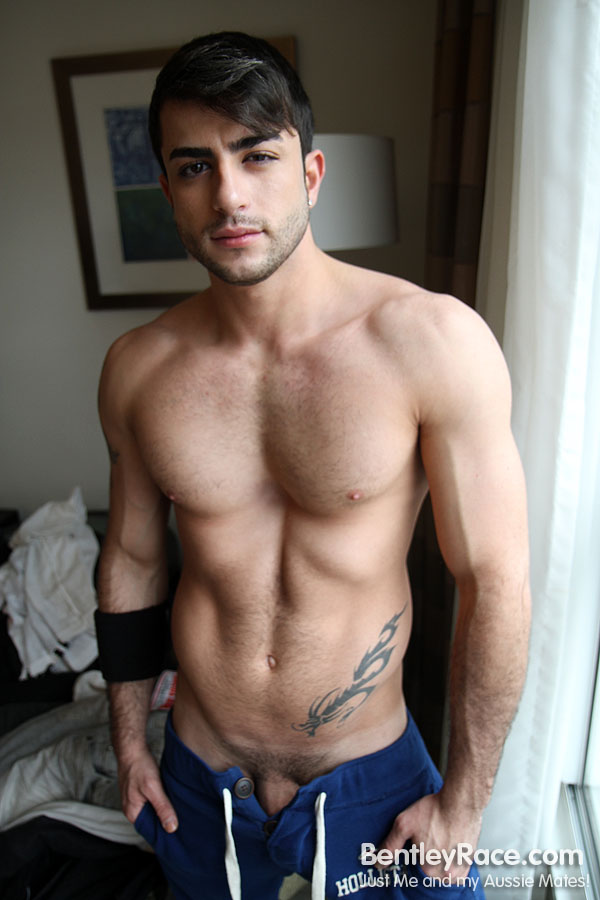 Harry Louis - MaxeGatos - Foto 35