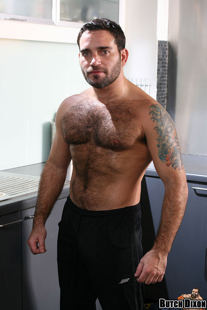 Edu Boxer - MaxeGatos - Foto 71
