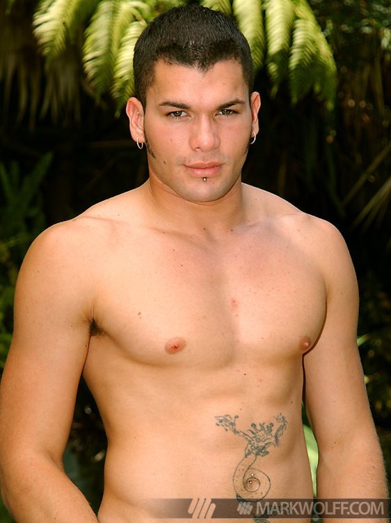 Danny Lopez - MaxeGatos - Foto 6