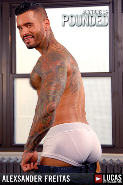 Alexsander Freitas - MaxeGatos - Foto 2