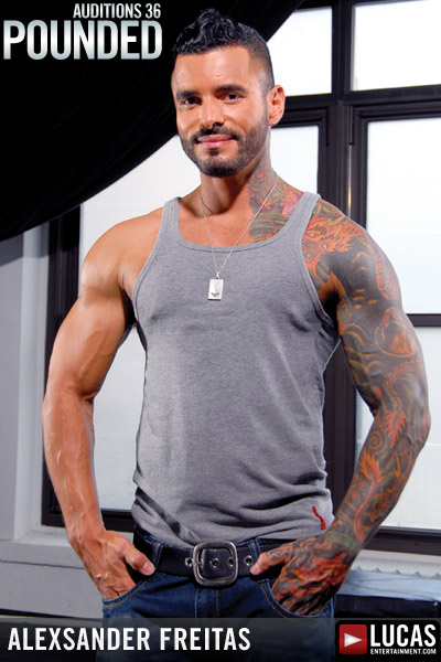 Alexsander Freitas - MaxeGatos - Foto 4