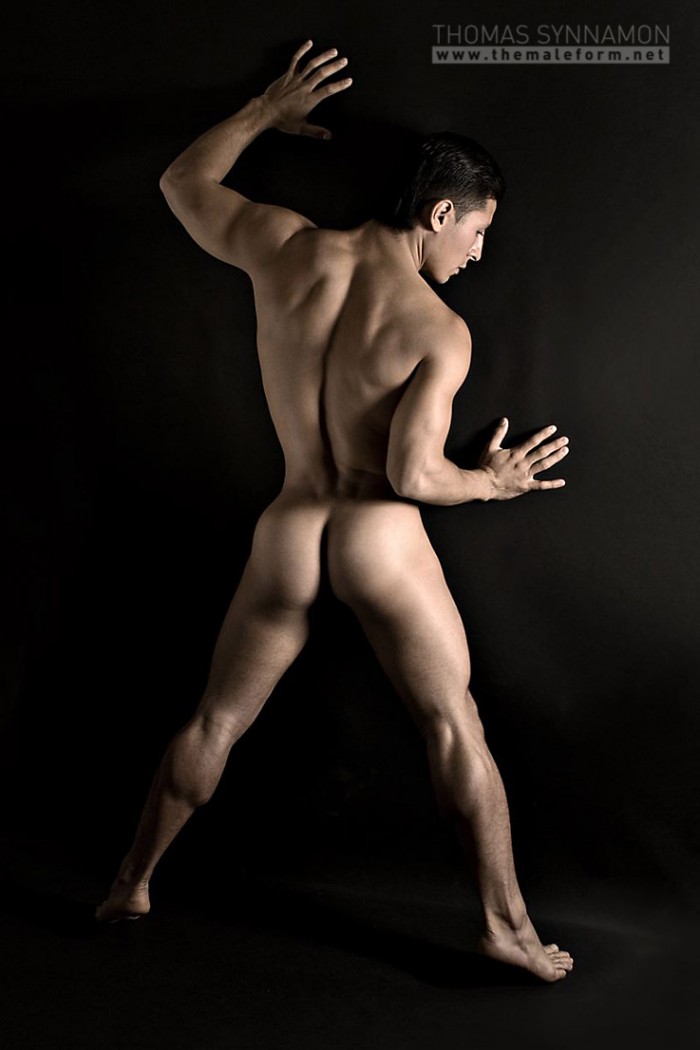 Danny - MaxeGatos - Foto 13