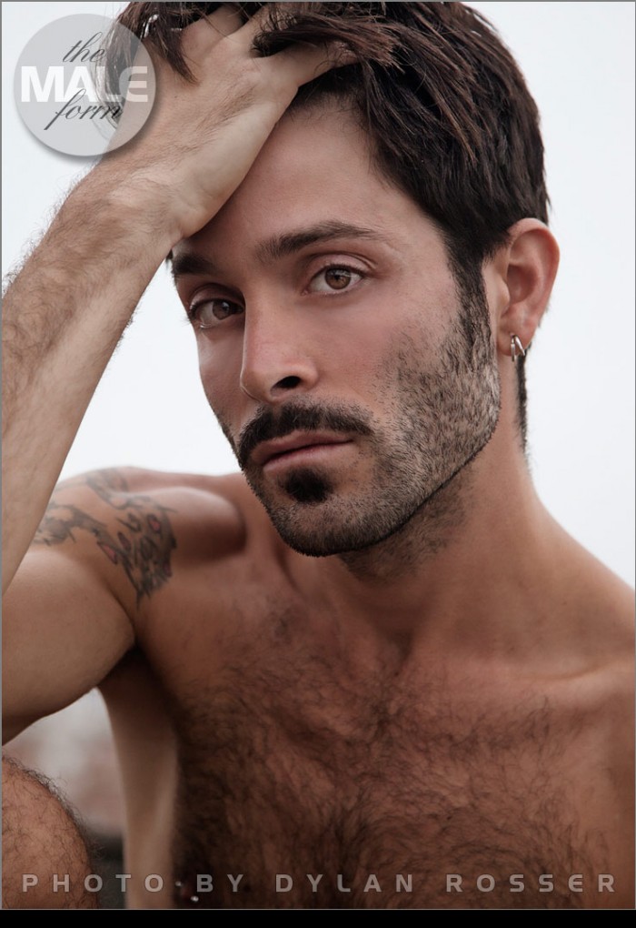 Robby - MaxeGatos - Foto 1