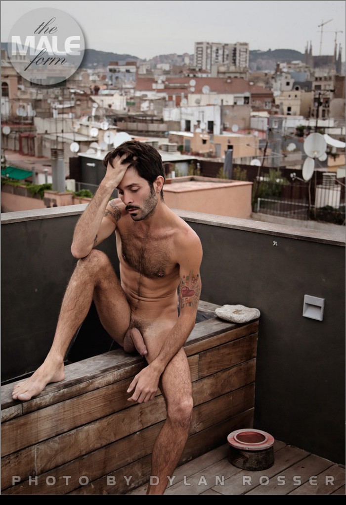 Robby - MaxeGatos - Foto 2