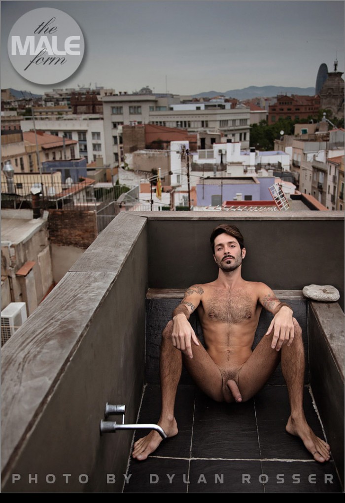 Robby - MaxeGatos - Foto 6